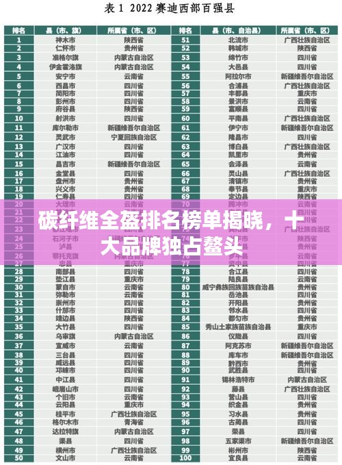 碳纖維全盔排名榜單揭曉，十大品牌獨(dú)占鰲頭