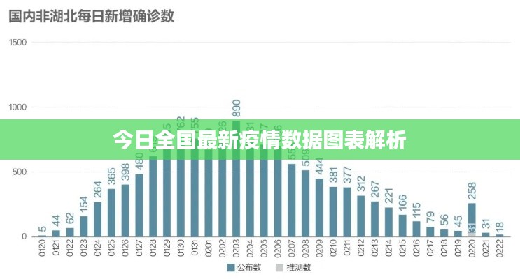 今日全國最新疫情數(shù)據(jù)圖表解析