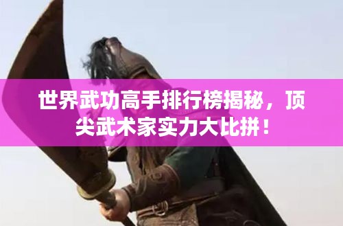 世界武功高手排行榜揭秘，頂尖武術家實力大比拼！
