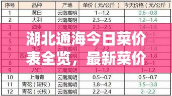 湖北通海今日菜價(jià)表全覽，最新菜價(jià)資訊一網(wǎng)打盡！
