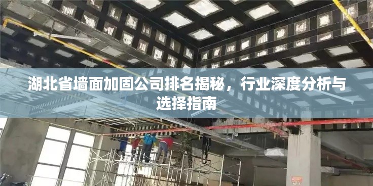 湖北省墻面加固公司排名揭秘，行業(yè)深度分析與選擇指南