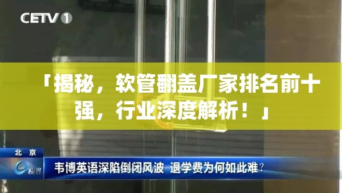 「揭秘，軟管翻蓋廠家排名前十強(qiáng)，行業(yè)深度解析！」