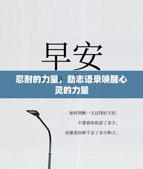 忍耐的力量，勵(lì)志語(yǔ)錄喚醒心靈的力量