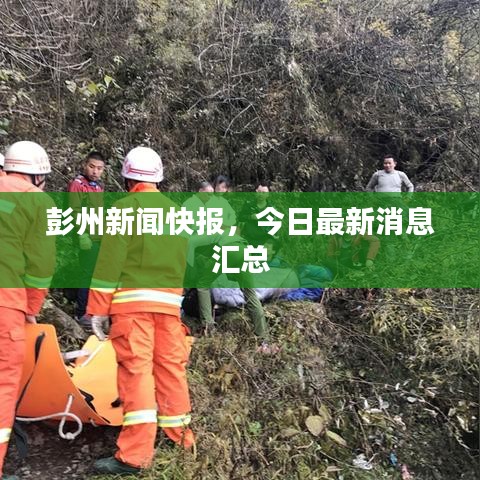 攀高接貴 第3頁