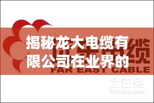 揭秘龍大電纜有限公司在業(yè)界的顯赫排名與廣泛影響力