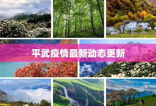 平武疫情最新動態(tài)更新