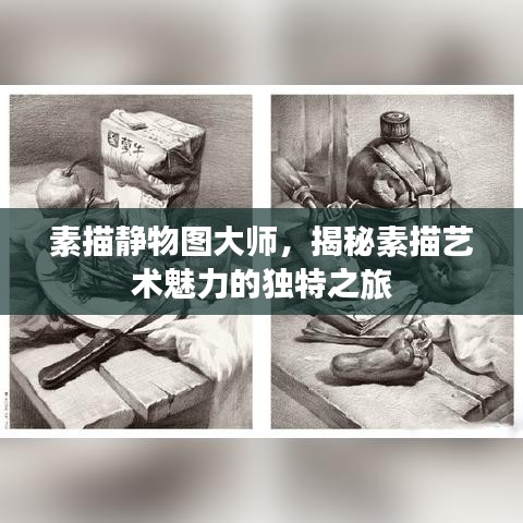 素描靜物圖大師，揭秘素描藝術(shù)魅力的獨(dú)特之旅
