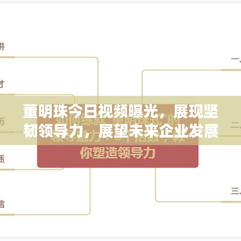 董明珠今日視頻曝光，展現(xiàn)堅韌領(lǐng)導(dǎo)力，展望未來企業(yè)發(fā)展之路