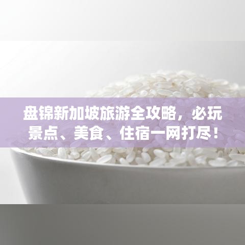 盤錦新加坡旅游全攻略，必玩景點(diǎn)、美食、住宿一網(wǎng)打盡！