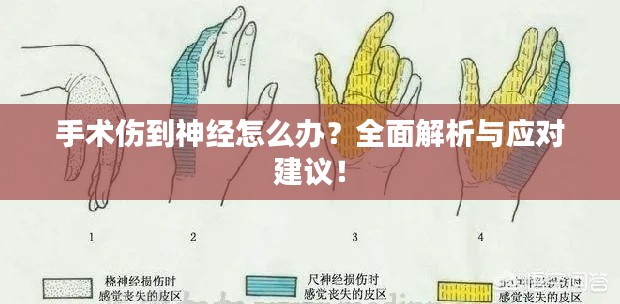 手術(shù)傷到神經(jīng)怎么辦？全面解析與應(yīng)對建議！