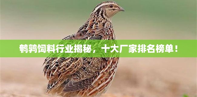 鵪鶉飼料行業(yè)揭秘，十大廠家排名榜單！