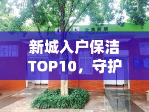 新城入戶保潔TOP10，守護溫馨家園的清潔守護者