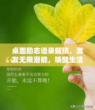 桌面勵志語錄貼紙，激發(fā)無限潛能，喚醒生活熱情！
