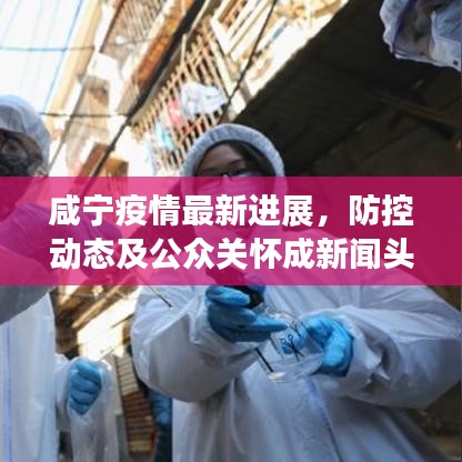 咸寧疫情最新進展，防控動態(tài)及公眾關懷成新聞頭條焦點