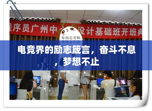 電競(jìng)界的勵(lì)志箴言，奮斗不息，夢(mèng)想不止
