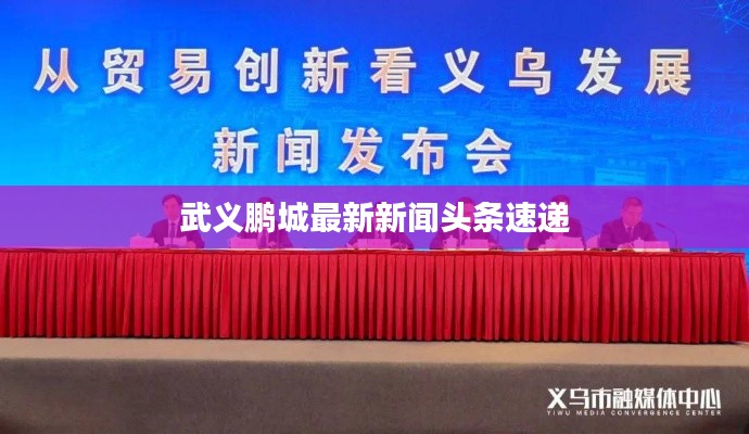 武義鵬城最新新聞頭條速遞
