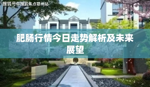 肥腸行情今日走勢(shì)解析及未來(lái)展望