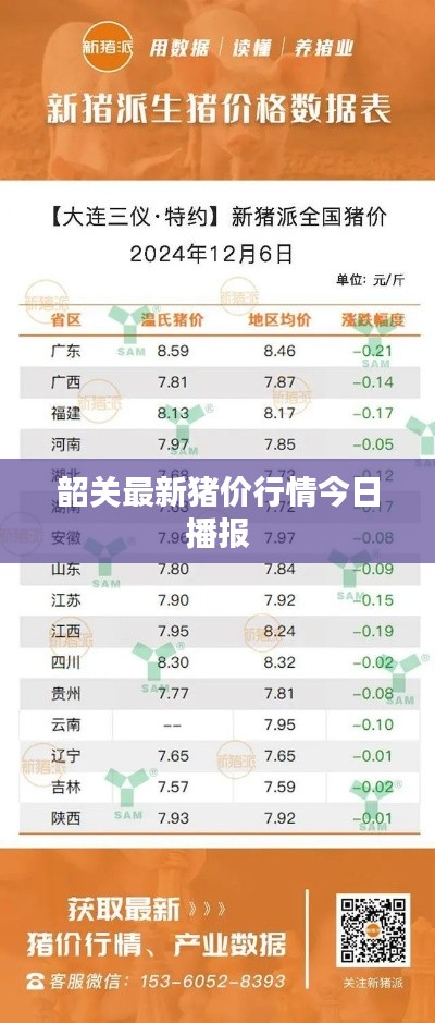 韶關(guān)最新豬價行情今日播報