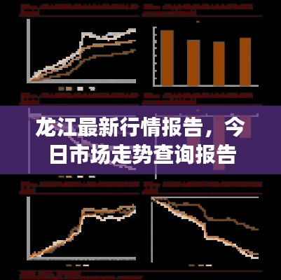 龍江最新行情報告，今日市場走勢查詢報告