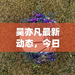 吳亦凡最新動態(tài)，今日消息一網(wǎng)打盡！