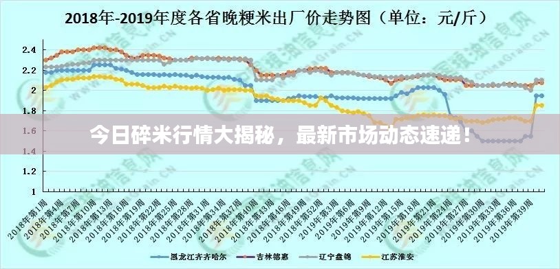 今日碎米行情大揭秘，最新市場(chǎng)動(dòng)態(tài)速遞！