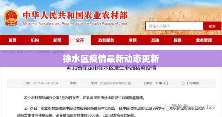 徐水區(qū)疫情最新動(dòng)態(tài)更新