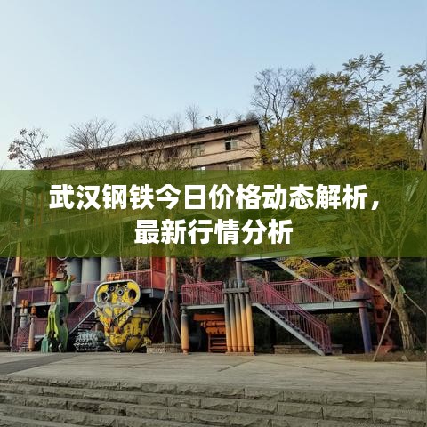 武漢鋼鐵今日價格動態(tài)解析，最新行情分析
