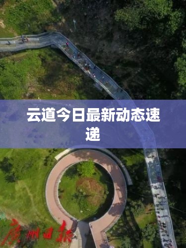 云道今日最新動(dòng)態(tài)速遞