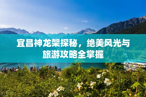 宜昌神龍架探秘，絕美風(fēng)光與旅游攻略全掌握