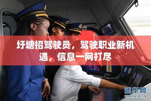 圩塘招駕駛員，駕駛職業(yè)新機(jī)遇，信息一網(wǎng)打盡
