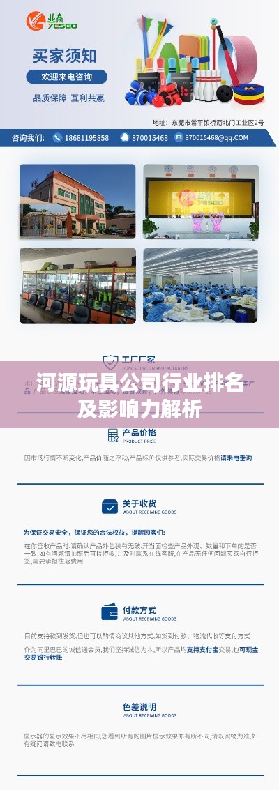 河源玩具公司行業(yè)排名及影響力解析