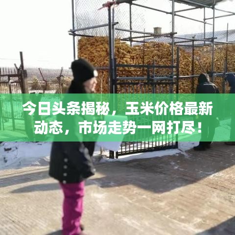 盡心竭力 第3頁