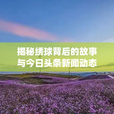 揭秘繡球背后的故事與今日頭條新聞動態(tài)