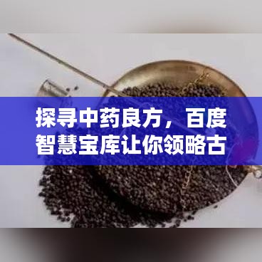 探尋中藥良方，百度智慧寶庫(kù)讓你領(lǐng)略古老智慧魅力