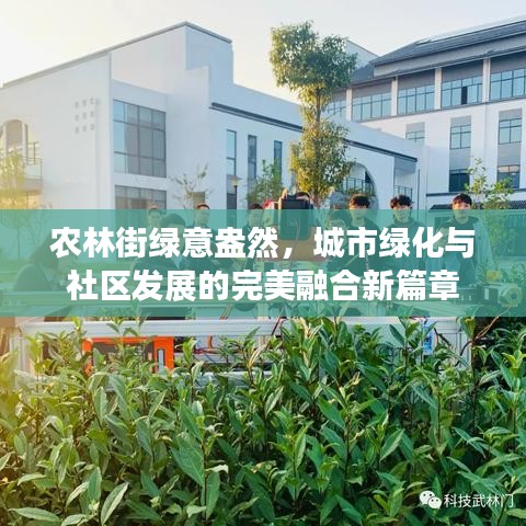 飛蛾撲火 第2頁
