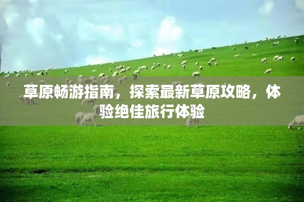 草原暢游指南，探索最新草原攻略，體驗(yàn)絕佳旅行體驗(yàn)