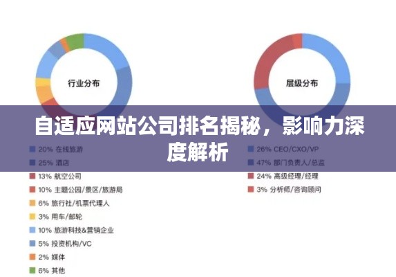 自適應(yīng)網(wǎng)站公司排名揭秘，影響力深度解析