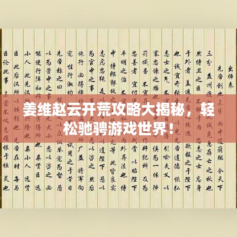 姜維趙云開荒攻略大揭秘，輕松馳騁游戲世界！