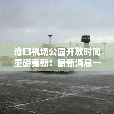 滄口機(jī)場(chǎng)公園開放時(shí)間重磅更新！最新消息一網(wǎng)打盡！