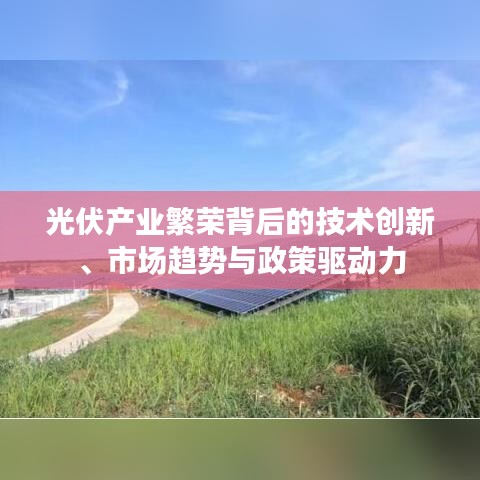 光伏產(chǎn)業(yè)繁榮背后的技術(shù)創(chuàng)新、市場(chǎng)趨勢(shì)與政策驅(qū)動(dòng)力