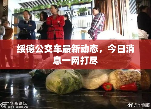 綏德公交車最新動態(tài)，今日消息一網(wǎng)打盡