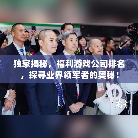 獨家揭秘，福利游戲公司排名，探尋業(yè)界領(lǐng)軍者的奧秘！