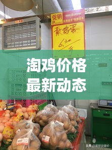 淘雞價格最新動態(tài)，市場走勢及影響因素深度解析