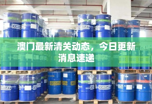 澳門最新清關(guān)動(dòng)態(tài)，今日更新消息速遞
