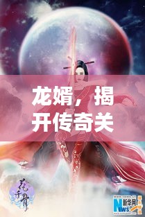 龍婿，揭開(kāi)傳奇關(guān)鍵詞的神秘面紗