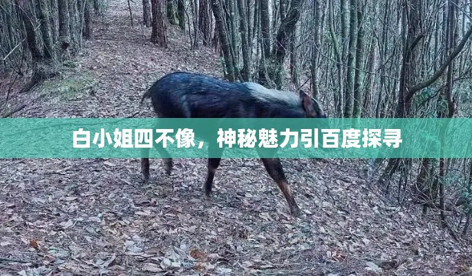 粗茶淡飯 第2頁