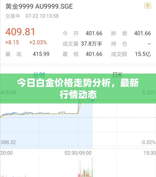 今日白金價(jià)格走勢(shì)分析，最新行情動(dòng)態(tài)
