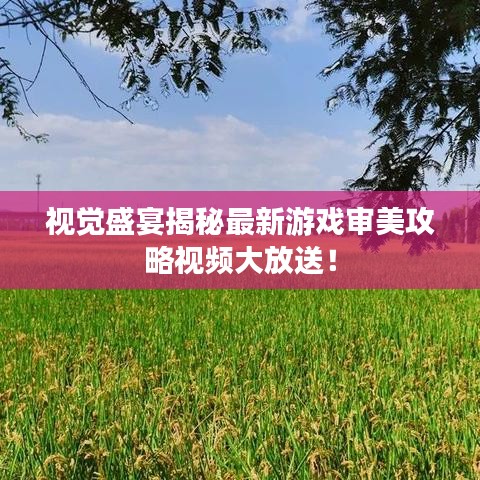 視覺(jué)盛宴揭秘最新游戲?qū)徝拦ヂ砸曨l大放送！