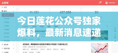 今日蓮花公眾號(hào)獨(dú)家爆料，最新消息速遞！