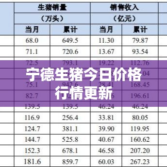 寧德生豬今日價格行情更新
